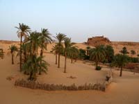 L’oasis d’Ouled Said