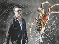 AVANT-PREMIÈRE DU FILM LA TOILE D'ARAIGNEE