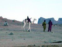 Le vrai désert est ailleurs