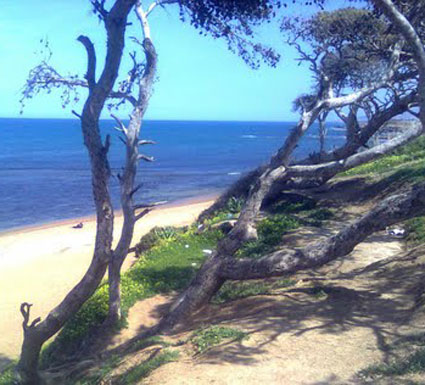 حجرة النص وسيدي غيلاس في تيبازة                    انتهاء مسلسل الرعب بشواطئ البلديتين