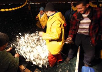 Accompagner la pêche traditionnelle dans les zones côtières éloignées
