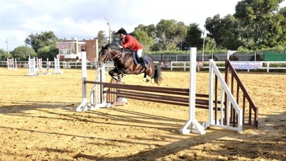 Equitation