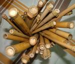 Le patrimoine documentaire en Algérie    Embarrassante mémoire