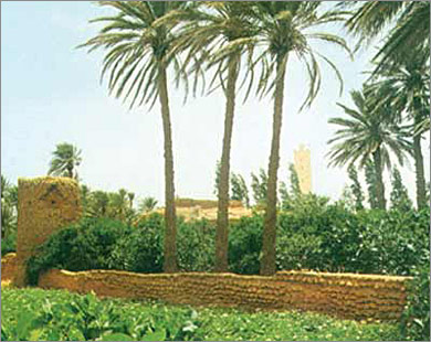 مدينة وهران