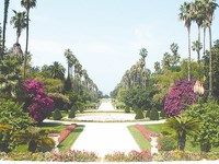 Pour commémorer le vol inaugural reliant Alger à Vienne