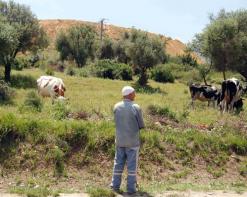 نزاع بين قبائل بلديات الشريط الحدودي بين الوادي وتبسة