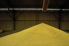 تعزيز مخزونات الغذاء في دول «أوبك»