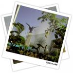 La wilaya de Tebessa