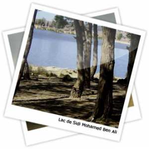 La wilaya de Sidi Bel Abbes