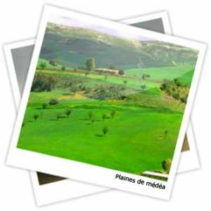 La wilaya de Médéa