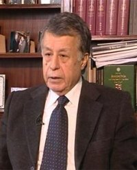 Un premier groupe de la mission d'observateurs à Alger