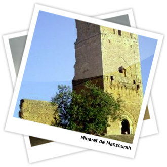 La wilaya de Tlemcen