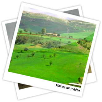 La wilaya de Médéa