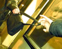 خادمة بالبليدة تتورط في قضية سرقة قرابة 40 ألف أورو بمشاركة زوجها