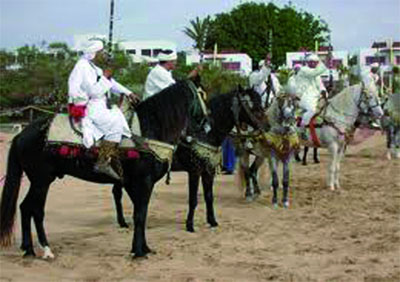 Metidji, le barbe et le palmarès mondial