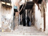 Découvrir et protéger