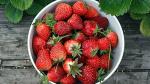 la fraise bonne pour votre santé