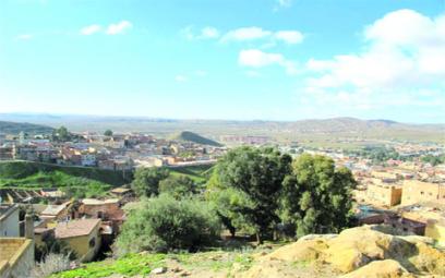 Le développement local tarde à décoller en Algérie