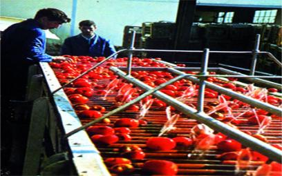 Rapprocher les nouvelles unités agroalimentaires des zones agraires