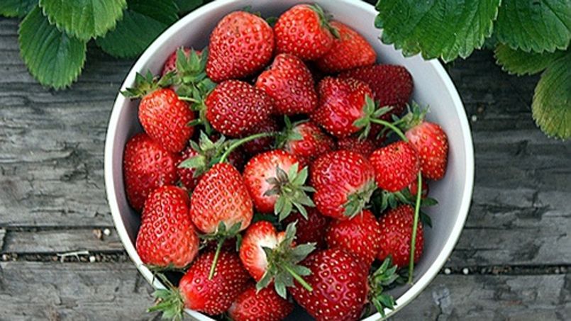 la fraise bonne pour votre santé