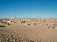 Ils subissent malnutrition, maladies et privations