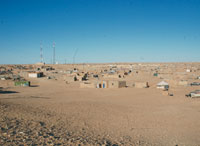 Ils subissent malnutrition, maladies et privations