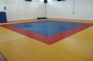 اختفاء بساط جيدو بقاعة في سيدي بلعباس يثير تساؤلات