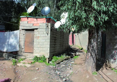 Un trafic très rentable