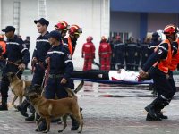 23 wilayas à risque sismique dotées d'équipes cynotechniques