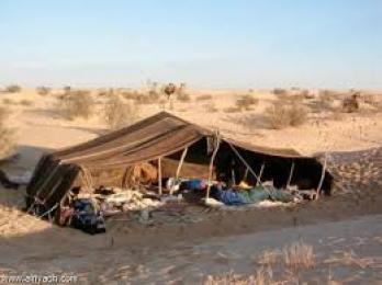 9 مكاتب تصويت متنقلة بالأغواط تنطلق صوب البدو الرحل