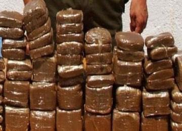 حجز 70 كلغ من الكيف المعالج في الوادي