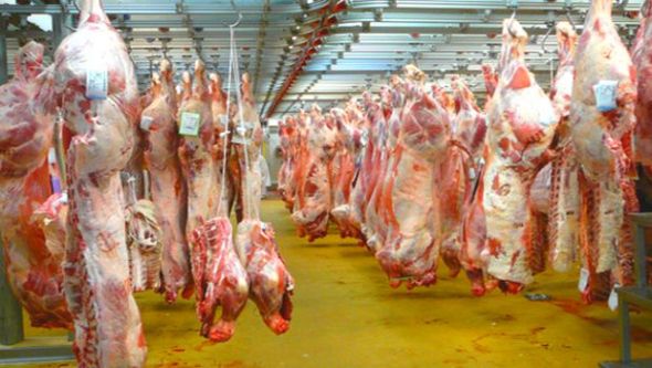 ولاية الجلفة تحتل الصدارة في إنتاج اللحوم الحمراء بإنتاج أكثر من 423.000 قنطار خلال 2013