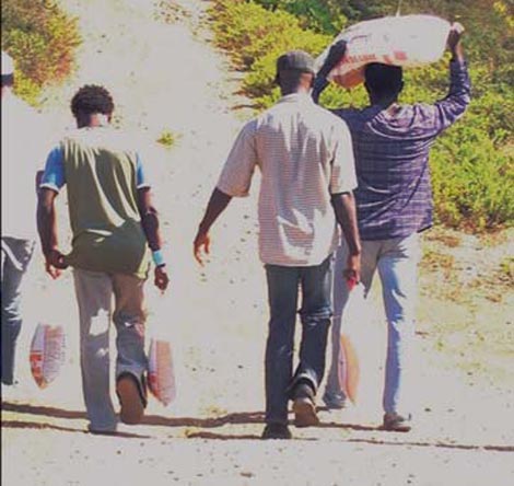 بلدية باتنة ترحل مئات المهاجرين الأفارقة