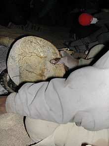 la Taguella d'aujourd'hui