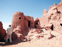 Expositions et conférences au menu