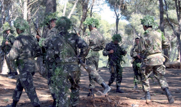 ارتفاع حصيلة الإرهابيين المقضي عليهم إلى سبعة بتيبازة