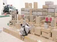 Pas moins de 81 quintaux de kif traité saisis À ORAN