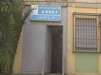 Financé par l'ANSEJ de Chlef