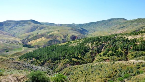 Le phénomène de l'érosion menace la région de Béni Chougrane (Mascara)