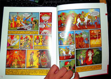 Festival international de la bande dessinée