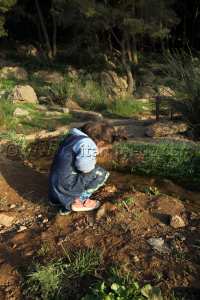 Enfants autistes ... Offrons leur un espoir