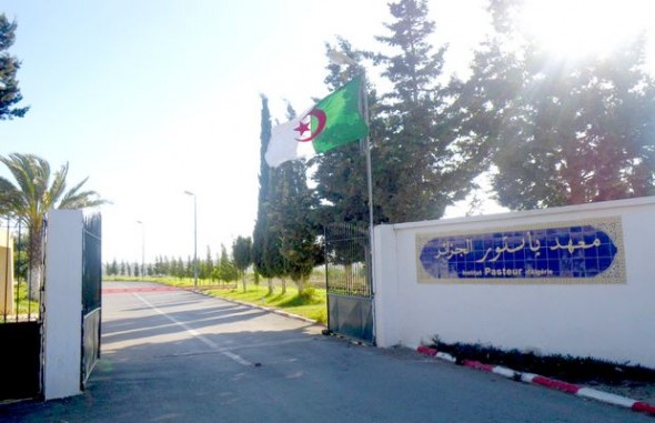 Les greffons de la cornée bientôt disponibles en Algérie