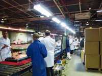 Le nouveau complexe électronique de l'Enie opérationnel en septembre prochain