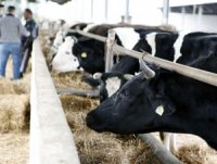 Création d'une société algéro-française