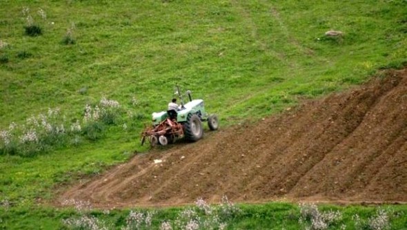 Développement des Hauts plateaux