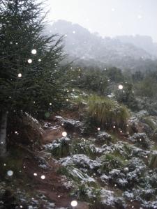 les haut plateau de djurdjura