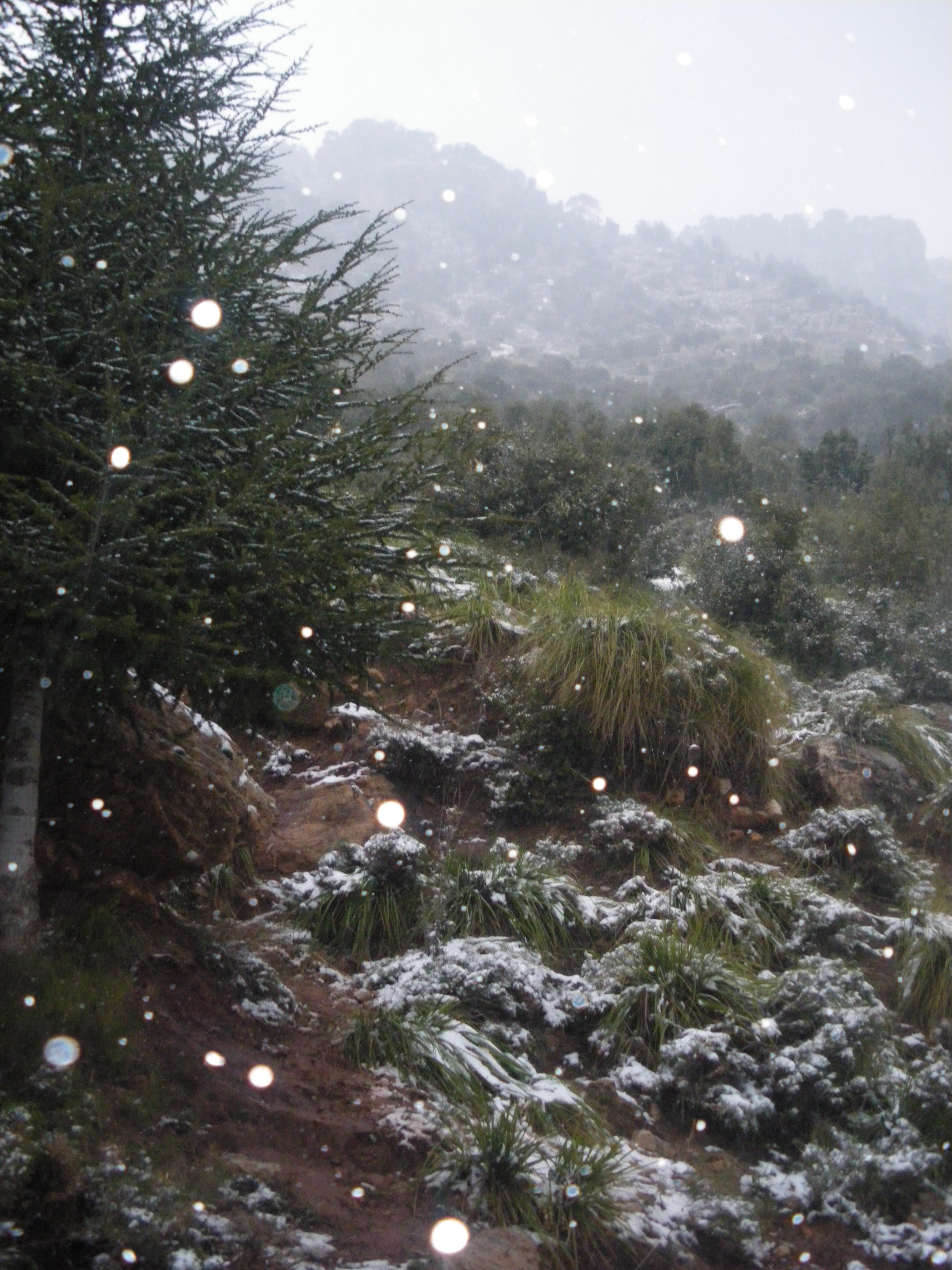 les haut plateau de djurdjura