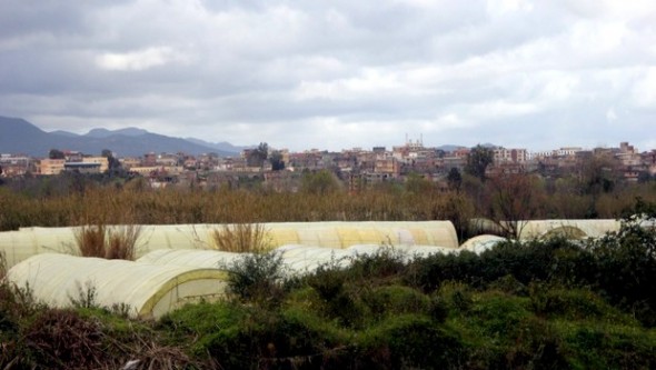 La ville de Taher (Jijel), berceau de Ferhat Abbas, de plain-pied dans la bataille du développement