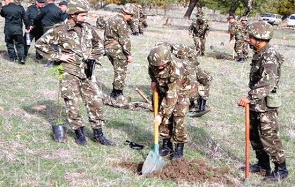 Plus de deux millions d'arbres plantés depuis novembre à travers toutes les régions militaires d'Algérie (MDN)