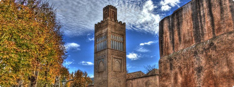 ترميم التراث الثقافي لتلمسان